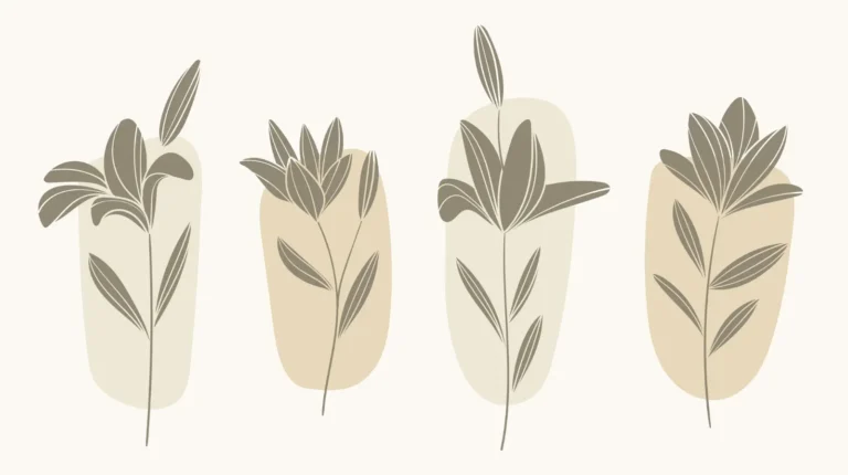 Imagem ilustrativa do estilo minimalista