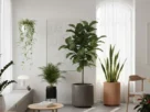 Imagem de algumas plantas para apartamento minimalista
