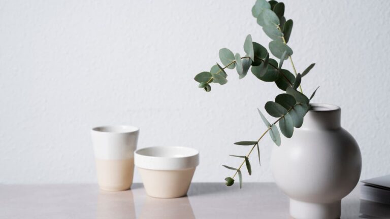 Imagem com objetos de decoração minimalista