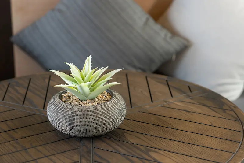 mesa de centro da sala decorada